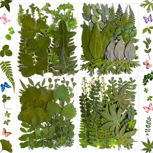 LUCISKY 136Pcs Pressed Dried Leaves and Butterfly for Resin Molds, Real Natural Flowers Stickers for DIY Art Crafts, Jewelry, Candle, Soap Crafts Making