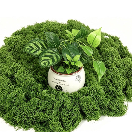 MAISONRINA 10.6OZ Artificial Fake Green Moss for Crafts Plants Indoor Decorating, Artificial Moss for Outdoor Planters, Fairy Garden Decor, DIY Table Centerpieces, Wedding Party Decoration