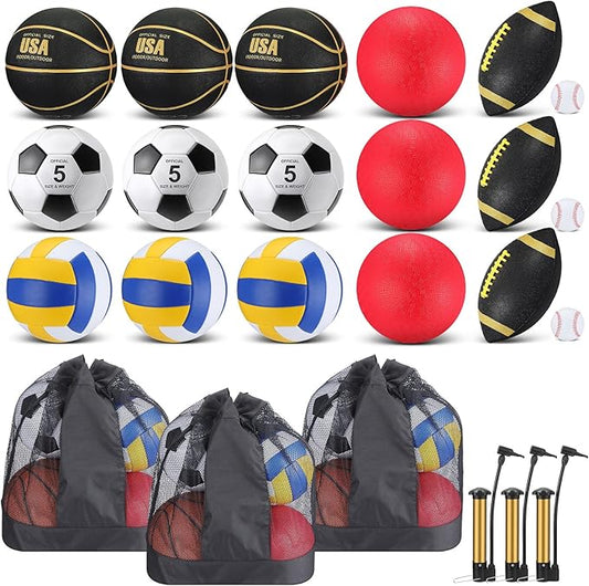 Leyndo 18 Pcs Sport Balls Bulk Set Basketball Football Volleyball Soccer Playground Baseball with Sport Equipment Bag Pump for Outdoor Indoor Practice Gift