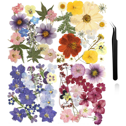 Nuanchu Dried Pressed Flowers for Crafts Resin Mother's Day Crafts Supplies Pressed Flowers Bulk Purple Dried Wildflowers Leave Natural with Tweezer DIY for Resin Mold Scrapbooking Nail Soap Making