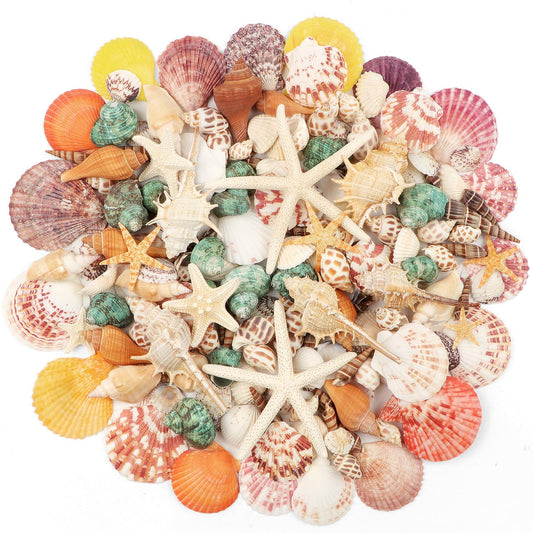 Fangoo 1.5 LB Mixed Sea Shells, 130+ PCS Beach Seashells Starfish Oyster Shells Various Sizes Ocean Seashells for Fish Tank Vase Fillers Beach Theme Party Wedding Decor DIY Crafts Home Decorations