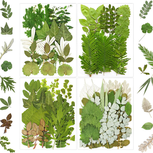 MIKIYA 84Pcs Pressed Dried Leaves for Resin Molds, Assorted Real Natural Bulk Dry Flowers for DIY Art Crafts, Epoxy Jewelry, Candle, Soap Making, Nails Decors Gifts