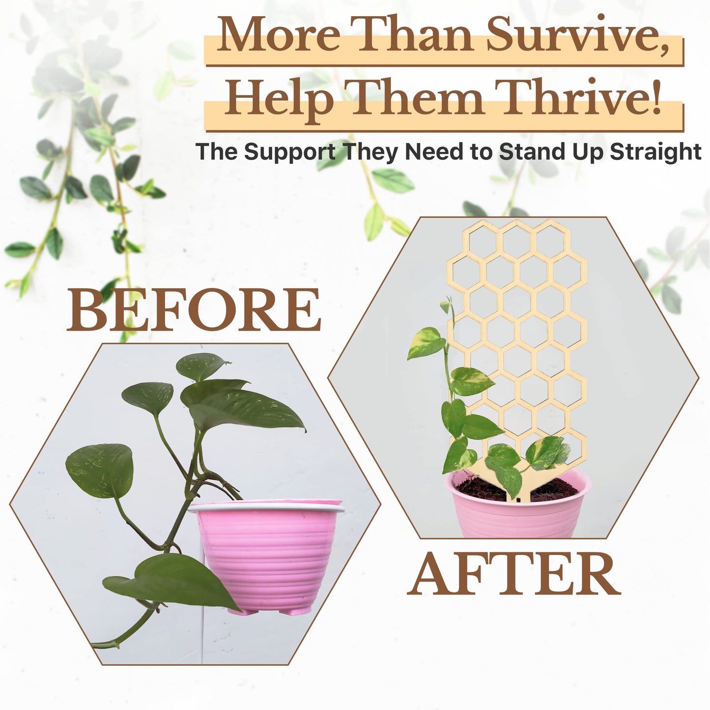 Wood Trellis for Climbing Plants Indoor & Outdoor - 2 Pack 18" Modern Honeycomb Small Plant Trellis - Stabilizing Plant Support for Indoor Plants - Small Trellis for Potted Plants to Encourage Growth