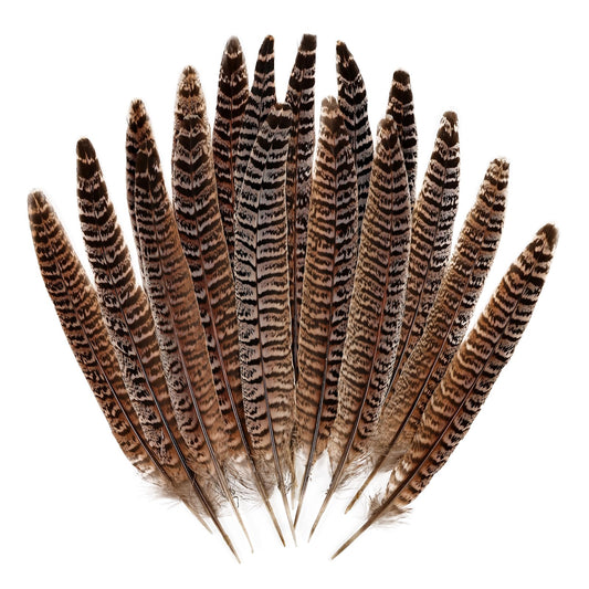 MAOFENG 12pcs Natural Feathers Female Ringneck Pheasant Tails Feathers 8-10inch 20-25cm for Crafts Wedding Party Performance Home DIY Decoration,Female Pheasant Feathers