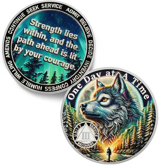 One Day at a Time 3 Year Sobriety Coin - Recovery Aurora Forest Wolf AA Coins - Addiction NA AA Chips and Medallions - Celebrate 1-20 Living Clean Narcotics Alcoholics Anonymous Gifts for Men Women