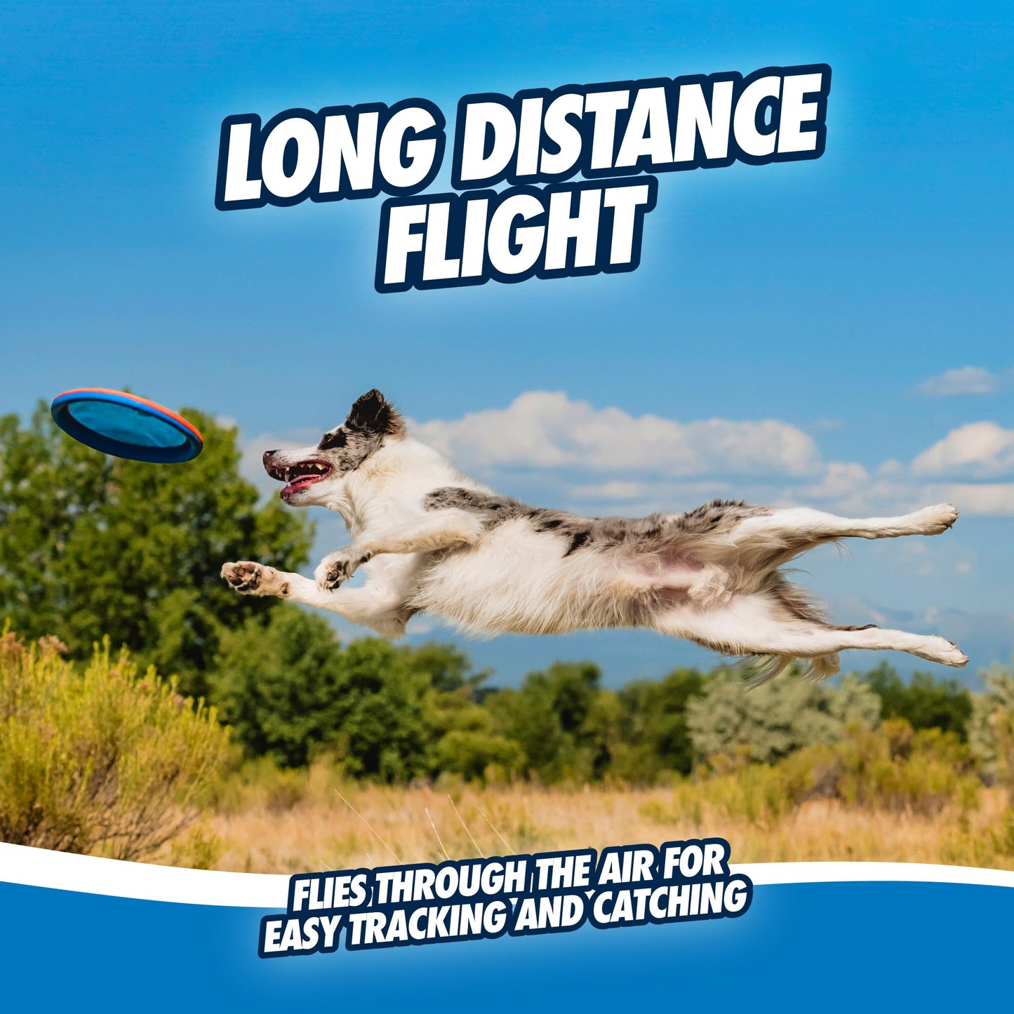 Chuckit! Max Glow Paraflight Flying Disc Dog Toy - Water Floating Flyer - Durable Nylon Construction with Soft Rubber Edges - For Medium and Large Dogs - Size Large - 9.75" L x 9.75" W - Pack of 1