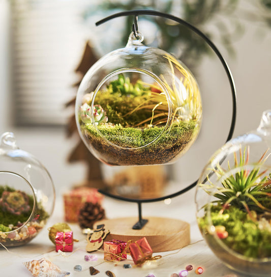 15-Piece Terrarium Kit with Live Moss – DIY Glass Globe Set with Tools, Soil, Stones & Spray Bottle – Indoor Mini Garden Gift for Plant Lovers, Home Decor & Zen Craft