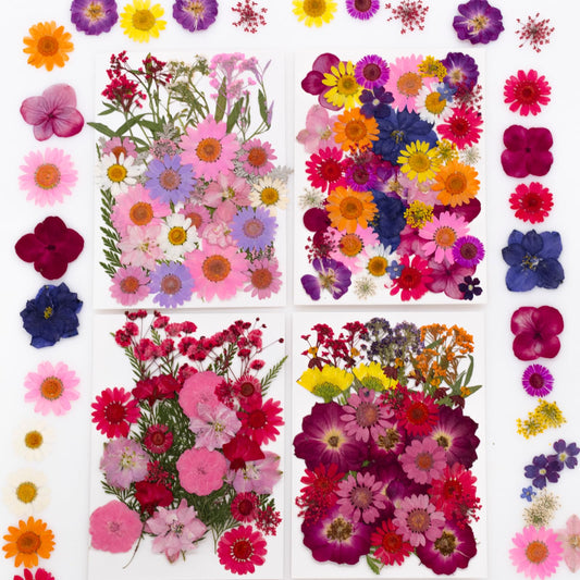 Natural Dried Pressed Flower Kit for DIY Crafts – Assorted Real Flowers & Leaves with Tweezers for Resin Art, Scrapbooking, Jewelry Making, Nail Art, and Home Décor