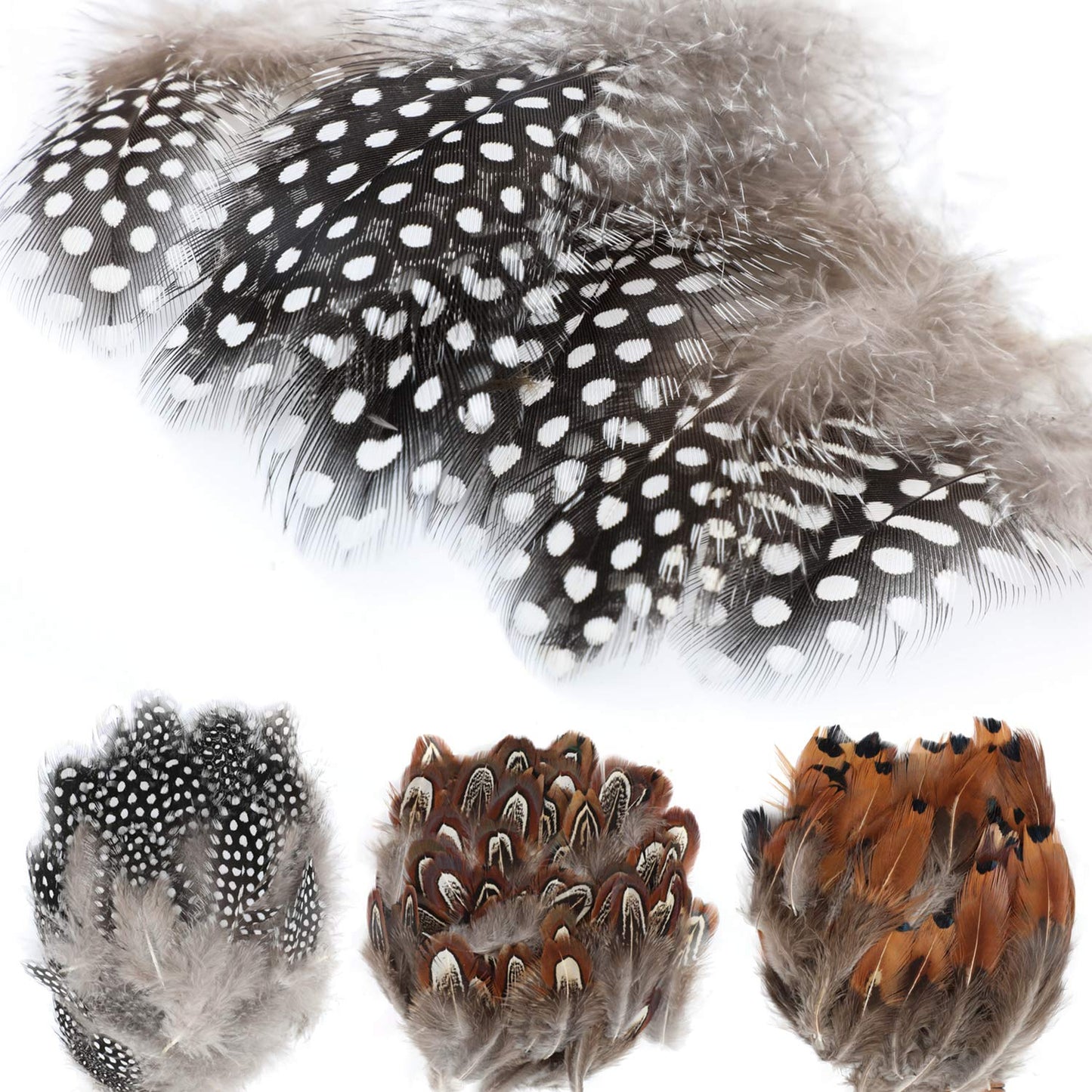 MWOOT 300PCS Spotted Chicken Feathers Natural Pheasant Plumage Feathers for DIY Crafts, Clothing, Jewelry, Wedding, Birthday Party, Dream Catcher Decoration