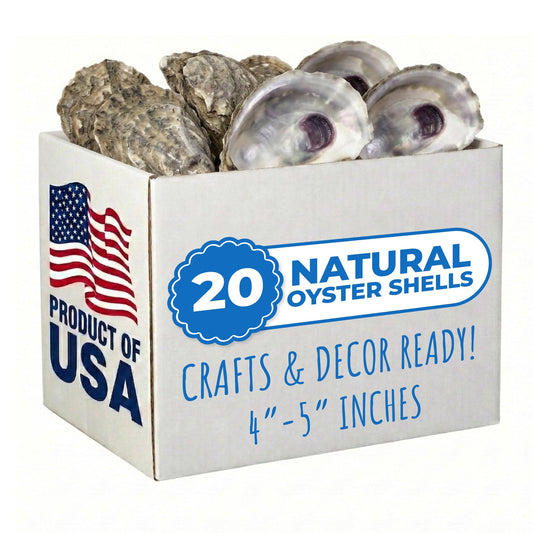 Tumbler Home Oyster Shells for Crafts, 20pcs, 4"- 5" Large Oyster Shells for Crafting, Decoupage, Christmas Ornaments, Wreaths, Weddings, Beach Décor, DIY Arts & Crafts. Bulk. Farmed in USA