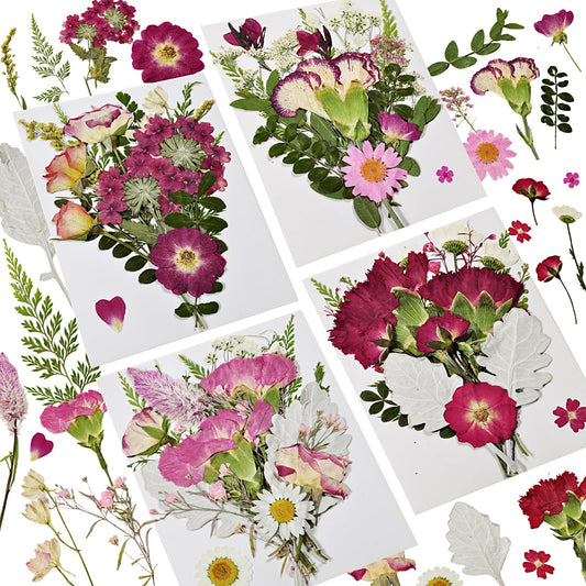 CONVELIFE Dried Pressed Flowers for Resin, Real Dry Leaves Bulk Natural Herbs Kit for Scrapbooking, DIY Art Crafts, Epoxy Resin Jewelry, Candle and Soap Making, Nail Decor (70Pcs Dried Flowers)