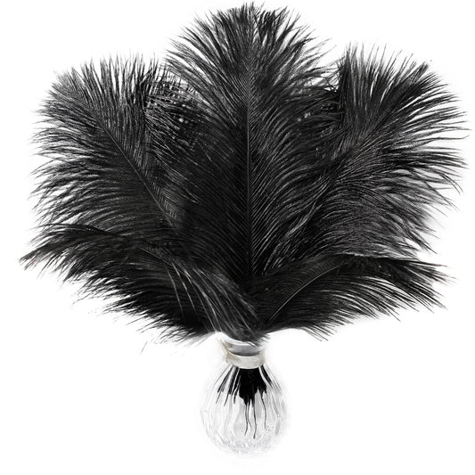 Soarer Black Ostrich Feathers Bulk - 15pcs 10-12 inches for Wedding Party Centerpieces, Home Decorations and DIY Crafts(Black)