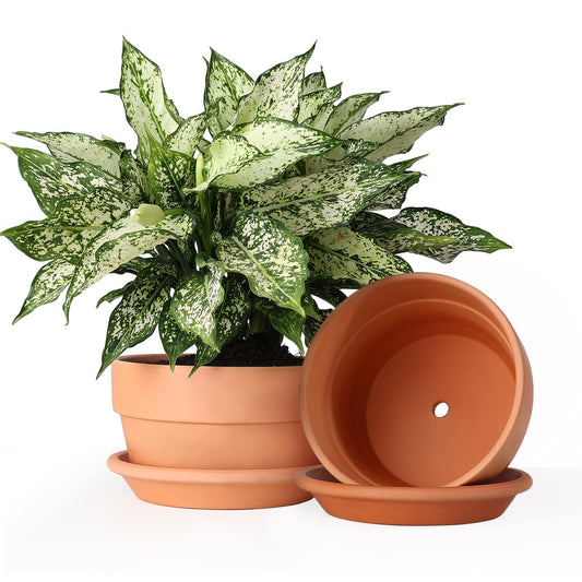 INGOFIN 8 Inch Terracotta Shallow Pots Set with Saucer - Ceramic Clay Pots with Drainage Hole, Terra Cotta Pot for Plants for Indoor Outdoor Plants, Set of 2
