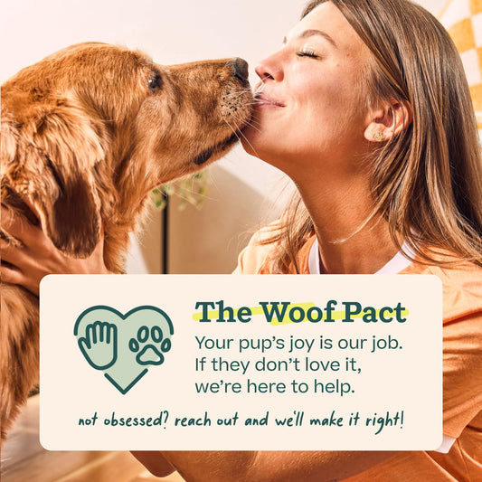 WOOF Starter Pack - Interactive Dog Ball Toy for Boredom - Dog Treat Molds Silicone - Chicken-Flavored Healthy Treats for Dogs - Pupsicle Doggy Enrichment Toy - for Large Pups - 25-75 lbs