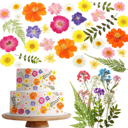 Maasechs 96 Pcs Natural Dried Pressed Flowers for Cake Topper Decorating Cupcake Toppers Cocktails Resin Jewelry Making DIY Art Crafts