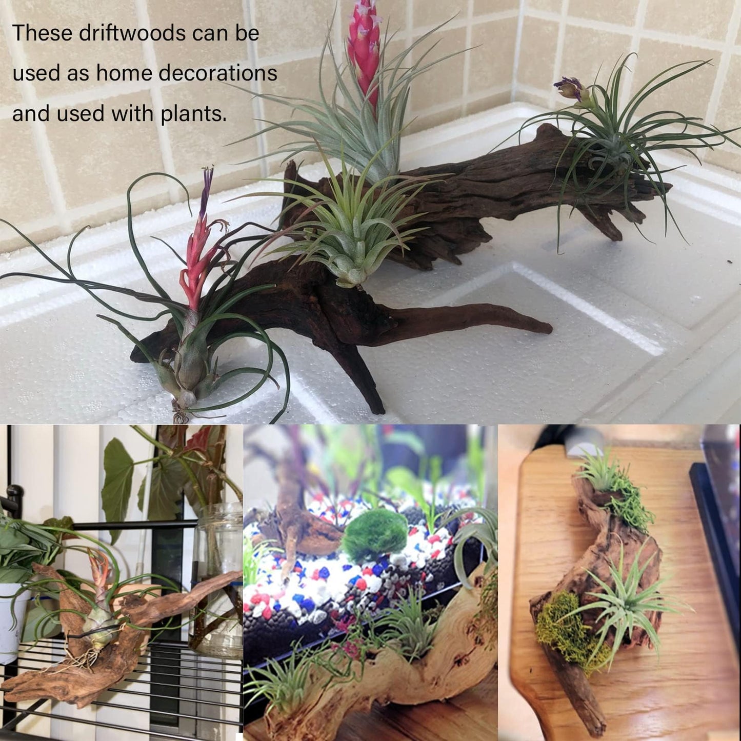Tfwadmx 5PCS Aquarium Driftwood Branches 4''-7.8'' Reptiles Trunk Natural Wood Fish Tank Decoration Plant Stump Ornament Decor Assorted