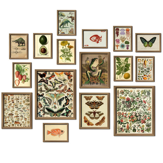 ANERZA 16 PCS Framed Vintage Wall Art Decor, Botanical Cottagecore Wall Prints for Bedroom, Gallery Wall Frame Set, Farmhouse Posters for Living Room Aesthetic, Rustic Dorm Home Collage Kit