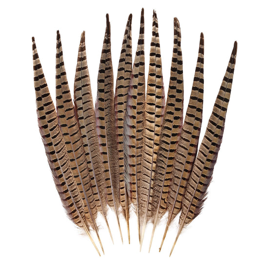 FeelfunFeather 5pcs Pheasant Feather 16-18inch 40-45cm Natural Male Ringneck Tails Feathers for DIY Crafts Home Wedding Party Carnival Decoration