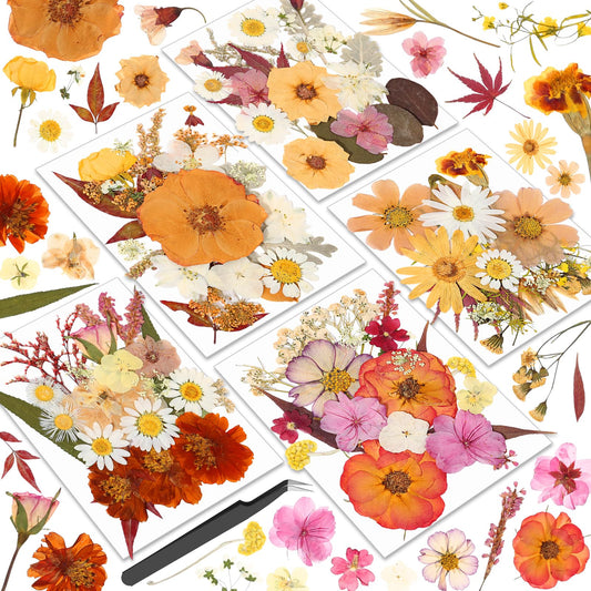 Dried Pressed Flowers for Resin, Real Pressed Flowers Dry Leaves Bulk Natural Herbs Kit for Scrapbooking DIY Art Crafts Epoxy Resin Jewelry Mold Candle Soap Making Nails Décor (Boho Pressed Flowers)