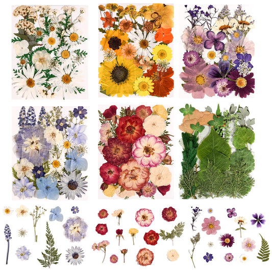 nisetten 6 Pack 150PCS Real Pressed Dried Flowers Dry Leaves Craft Kit - Natural Dried Flowers for DIY Crafts, Resin Jewelry, Cards, Soap, CandleMaking, Nail Art, and Scrapbooking (Colorful)