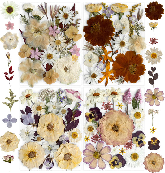 TrendCart Boho 88Pcs Real Natural Dried Pressed Flowers for DIY Crafts, Resin Jewelry, Scrapbooking, Frame Decor + Free 66Pcs Butterfly Stickers & Tweezers