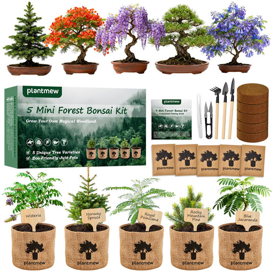 Christmas Gifts & Crafts for Adults - Bonsai Tree Starter Kit with 5 Unique Japanese Trees | Complete DIY Gardening Kit for Birthday | Gifts for Women, Men, Mom, Dad, Plant Lovers