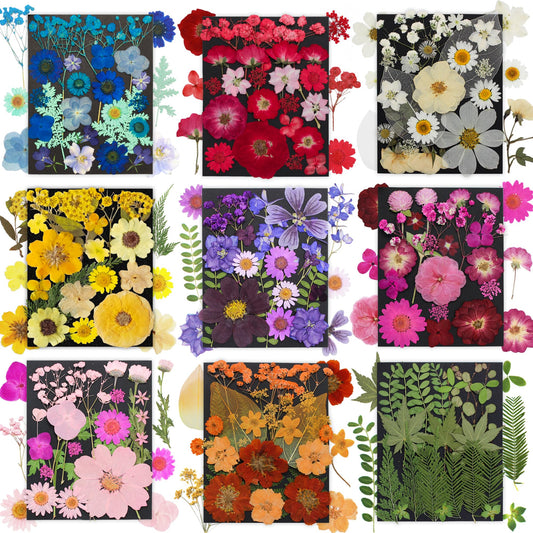 TrendCart 285Pcs 9 Packs Mixed Types Real Natural Dried Pressed Flowers & Leaves for Resin Molds, DIY Crafts, Jewelry Making + 100Pcs Butterfly Stickers + Tweezers