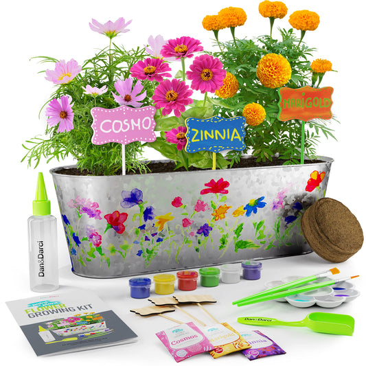 Dan&Darci Paint & Plant Flower Growing Kit for Kids - Gift Ideas Age 5 6 7 8-12 Year Old Girl - Birthday Crafts Gifts for Girls & Boys, Fun Gardening Kits, Art Projects for Ages 5-12 Years