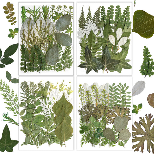 Resiners Dried Pressed Flowers for Resin Molds, Real Natural Dried Flowers Dry Leaves kit for Scrapbook Supplies Card Making Resin Jewelry Making Soap Candle DIY Crafts (Green Leaves100pcs)