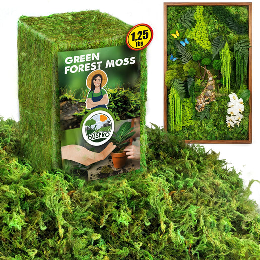 DUSPRO Green Forest Moss for Crafts, Real Dried Decorative Moss for Indoor Planter Soil Cover, Table Centerpieces, Wedding, Easter & Christmas Decor, DIY Projects, 1.25 Lbs
