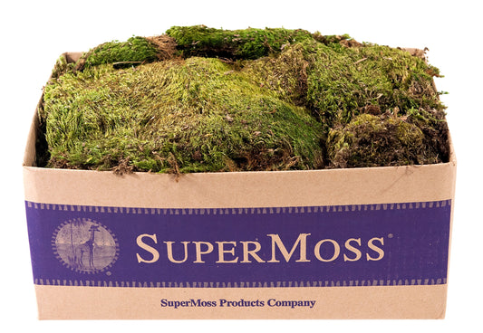 SuperMoss (21537) Mood Moss – Natural Moss for Home Decor, Terrariums, Floral Arrangements, and Craft Projects, 1,564 cu in, Dried